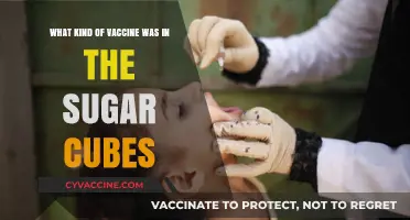 The Sweet Truth: Uncovering the Vaccine in Sugar Cubes