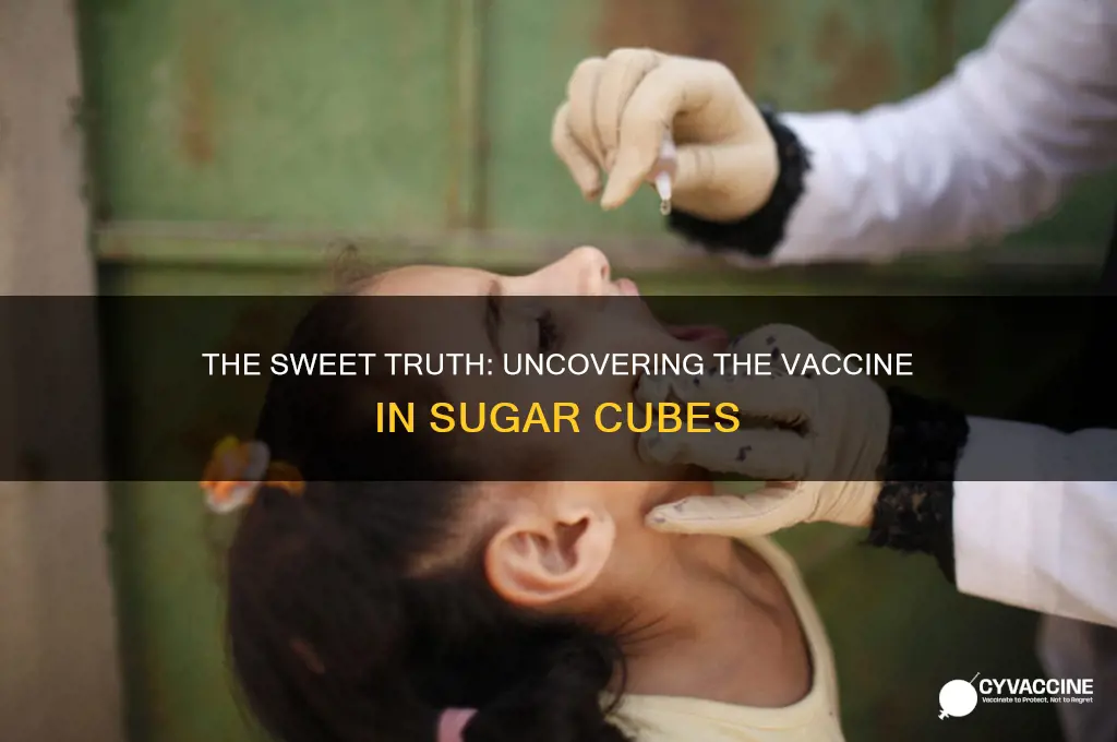 what kind of vaccine was in the sugar cubes