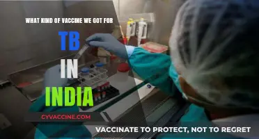 India's TB Vaccine: Types, Availability, and Effectiveness Explained
