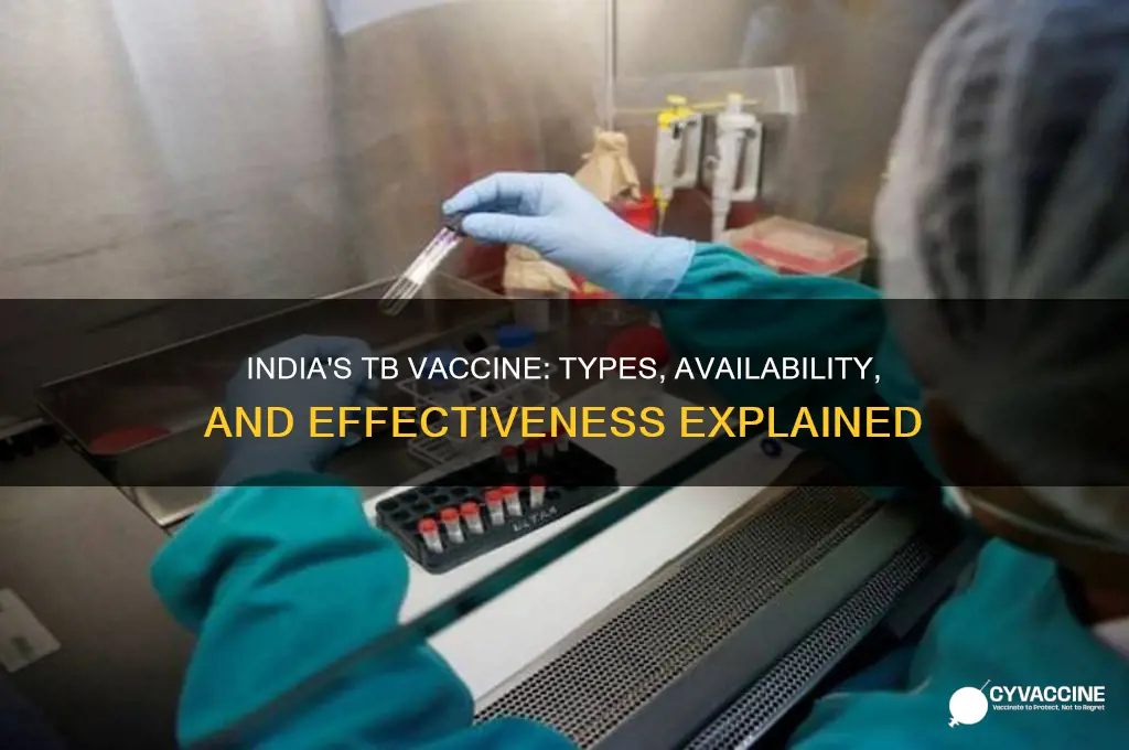 what kind of vaccine we got for tb in india