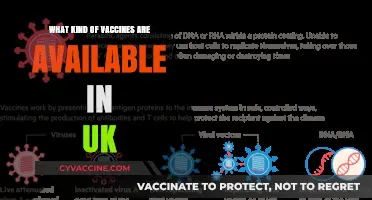 UK Vaccines: Types, Availability, and Essential Immunization Options Explained
