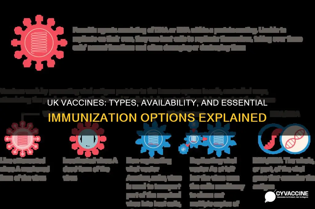 what kind of vaccines are available in uk