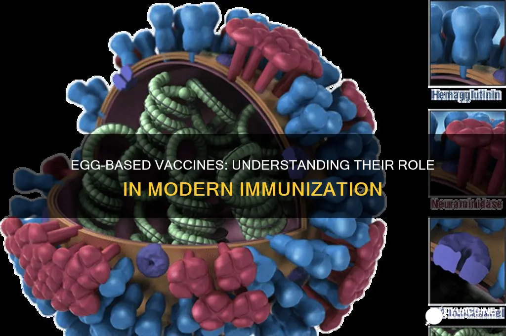 what kind of vaccines are made in eggs