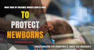 Essential Adult Vaccines to Safeguard Newborns: A Comprehensive Guide