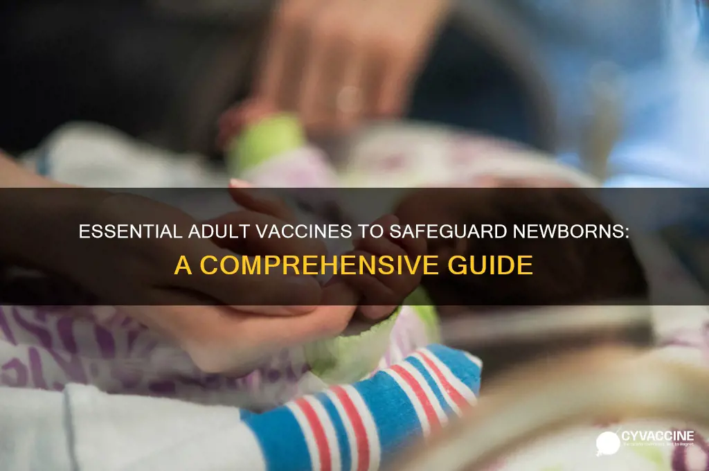 what kind of vaccines should adults have to protect newborns