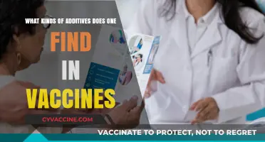 Unveiling Vaccine Additives: Understanding Common Ingredients and Their Roles
