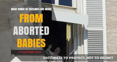 Aborted Fetal Cells in Vaccines: Myths, Facts, and Ethical Concerns