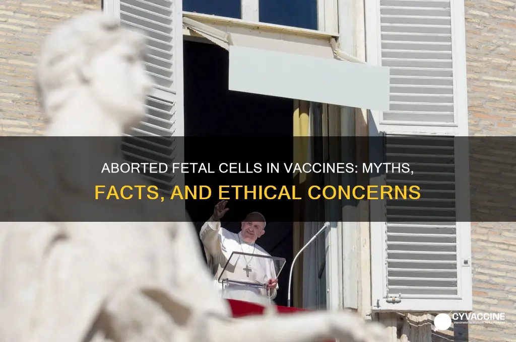 what kinds of vaccines are made from aborted babies