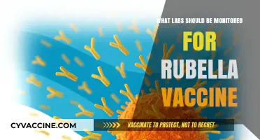 Essential Lab Tests to Monitor After Receiving the Rubella Vaccine