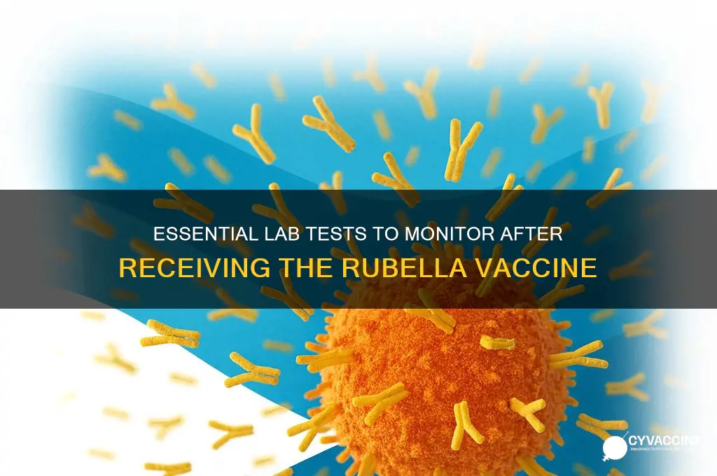 what labs should be monitored for rubella vaccine