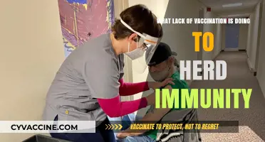 Unvaccinated Gaps: How Lack of Vaccination Threatens Herd Immunity