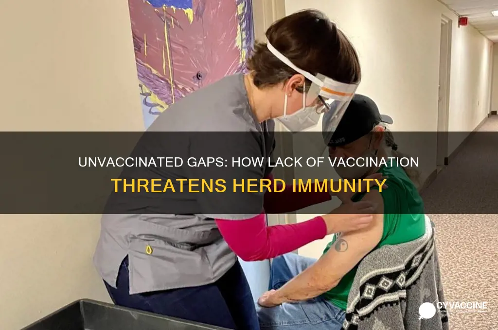 what lack of vaccination is doing to herd immunity