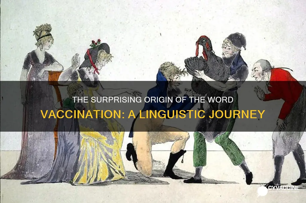 what language does the word vaccination come from