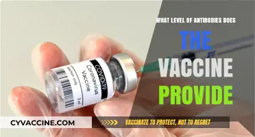 Understanding COVID-19 Vaccine Antibody Levels: Protection and Duration Explained