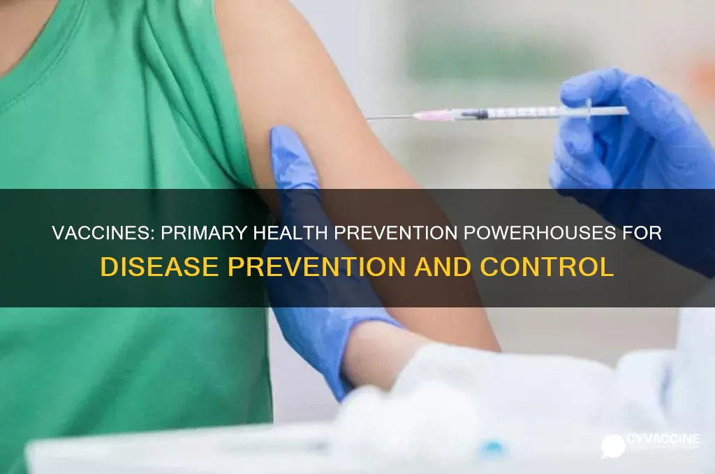 what level of health prevention are vaccines considered