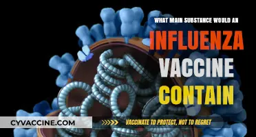 Key Components of Influenza Vaccines: Understanding Their Main Substances