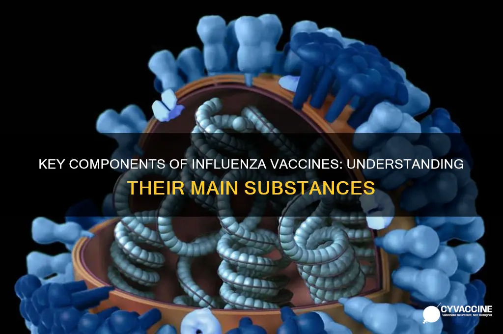 what main substance would an influenza vaccine contain