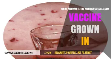 Meningococcal ACWY Vaccine: Understanding Its Growth Medium and Production