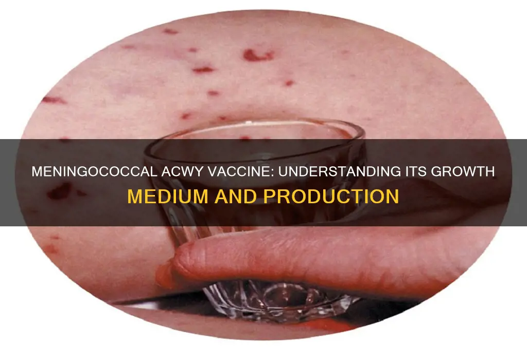 what medium is the meningococcal acwy vaccine grown in