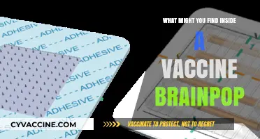 Exploring Vaccine Components: What's Inside a BrainPOP Vaccine?