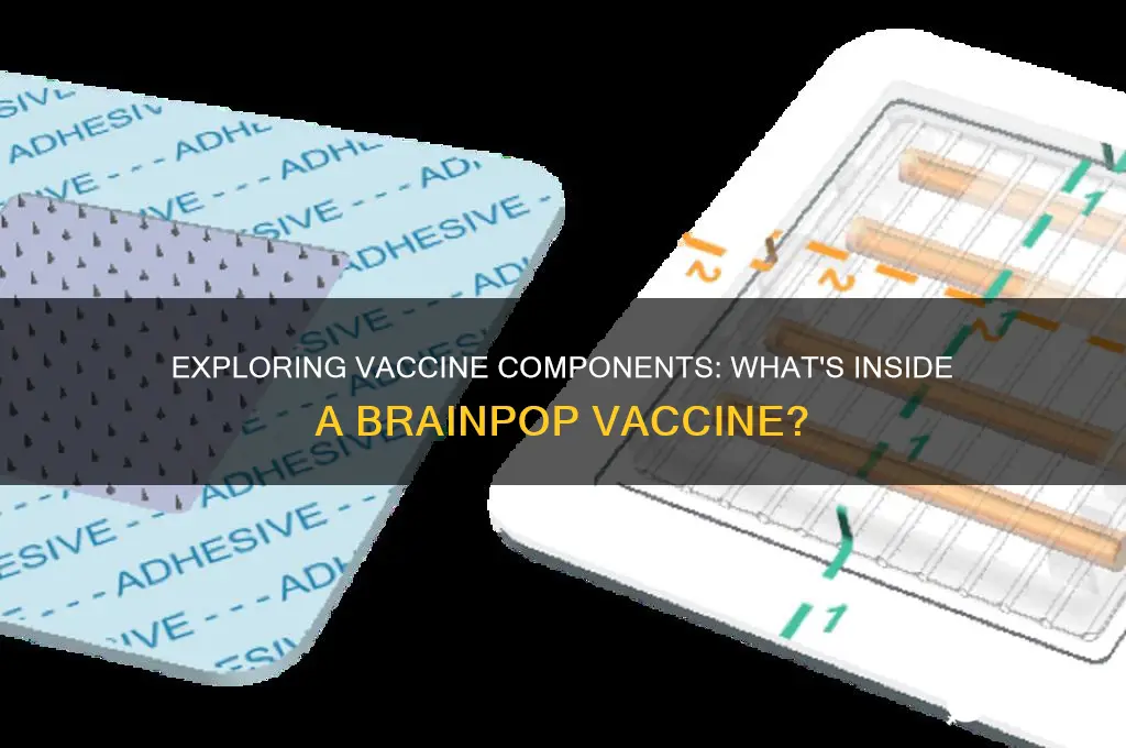 what might you find inside a vaccine brainpop