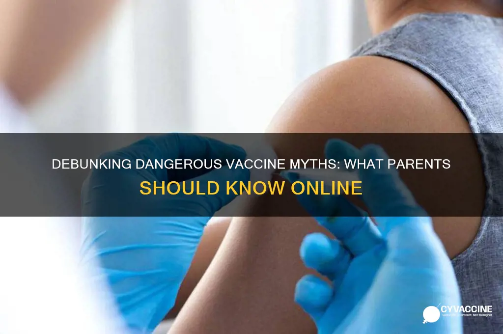 what misinformation parents learn on the internet about vaccines