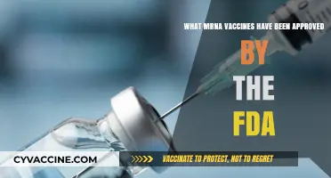 FDA-Approved mRNA Vaccines: A Comprehensive List and Overview
