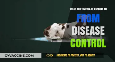 Multimedia Vaccine Ads: Disease Control's Creative Approach to Public Health