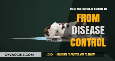 Multimedia Vaccine Ads: Disease Control's Creative Approach to Public Health