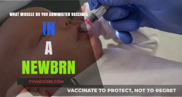 Where to Administer Newborn Vaccines: Targeting the Correct Muscle