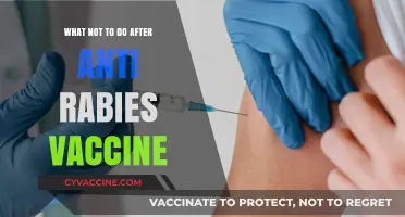 Avoid These Mistakes Post-Rabies Vaccine for Optimal Recovery