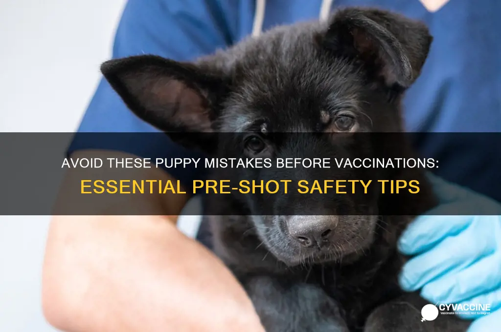what not to do with puppy before vaccinations