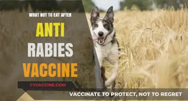 Post-Rabies Vaccine Diet: Foods to Avoid for Optimal Recovery