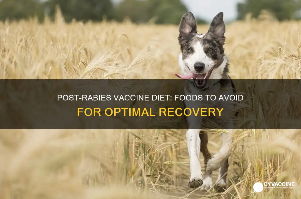 what not to eat after anti rabies vaccine