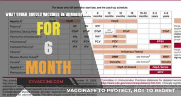 Optimal Vaccine Schedule for 6-Month-Olds: A Parent's Guide