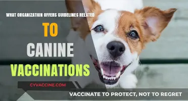 Canine Vaccination Guidelines: Which Organization Sets the Standards?