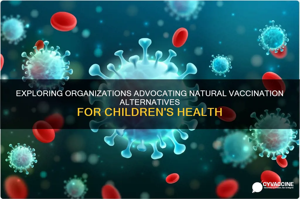 what organization promotes natural vaccination alternatives for kids