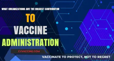 Leading Vaccine Distributors: Top Organizations Driving Global Immunization Efforts