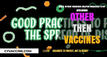 Beyond Vaccines: Key Strategies That Halted Disease Spread Effectively
