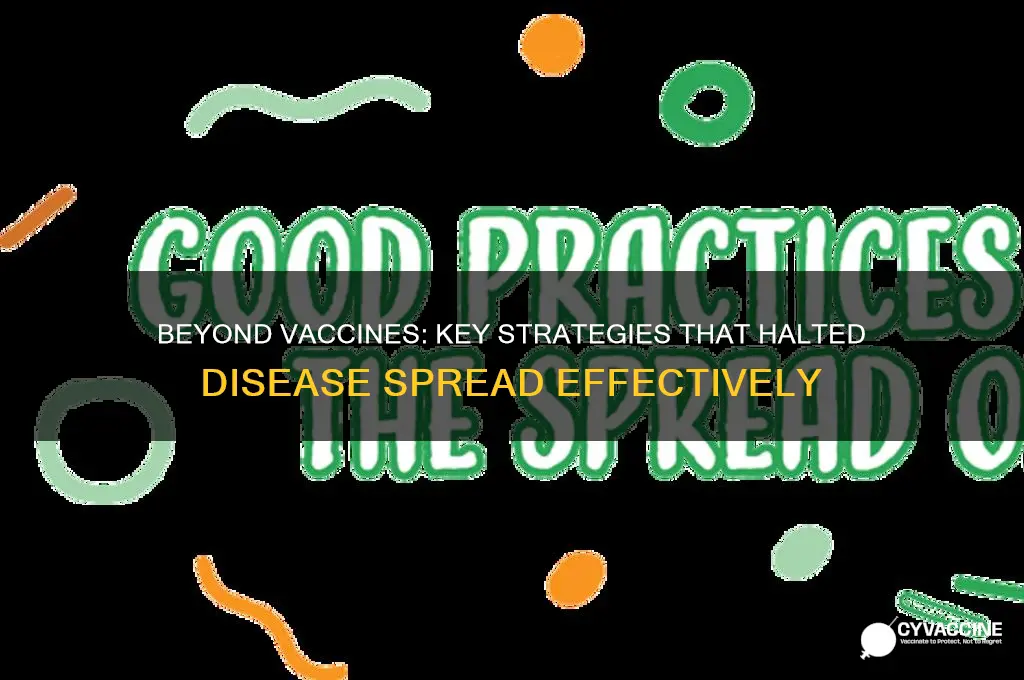 what other changes helped diseases stop spreading other then vaccines