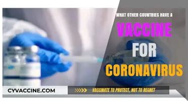 Global COVID-19 Vaccines: Which Countries Have Developed Their Own?