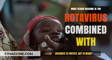 Rotavirus Vaccine Combinations: Exploring Co-Administered Immunizations for Enhanced Protection