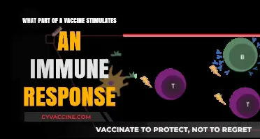 How Vaccine Antigens Trigger Immune Responses: A Comprehensive Guide