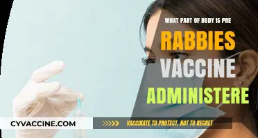 Pre-Rabies Vaccine: Where on the Body is it Administered?
