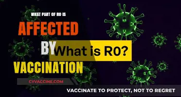 How Vaccination Impacts the R0 Value: A Detailed Analysis