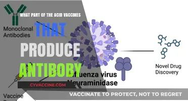 Understanding Acid-Based Vaccines: How They Trigger Antibody Production