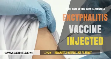 Where is the Japanese Encephalitis Vaccine Injected in the Body?