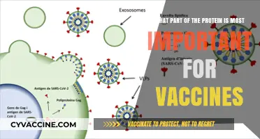 Unlocking Vaccine Efficacy: The Critical Role of Protein Antigens