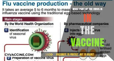 Understanding Vaccines: Which Viral Components Are Actually Included?