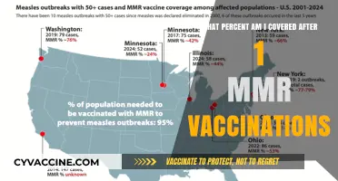 Understanding MMR Vaccination Coverage After One Dose: Your Immunity Level